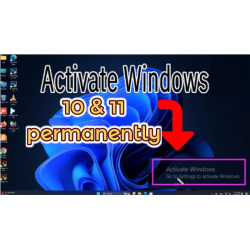 windows 10 &11 license